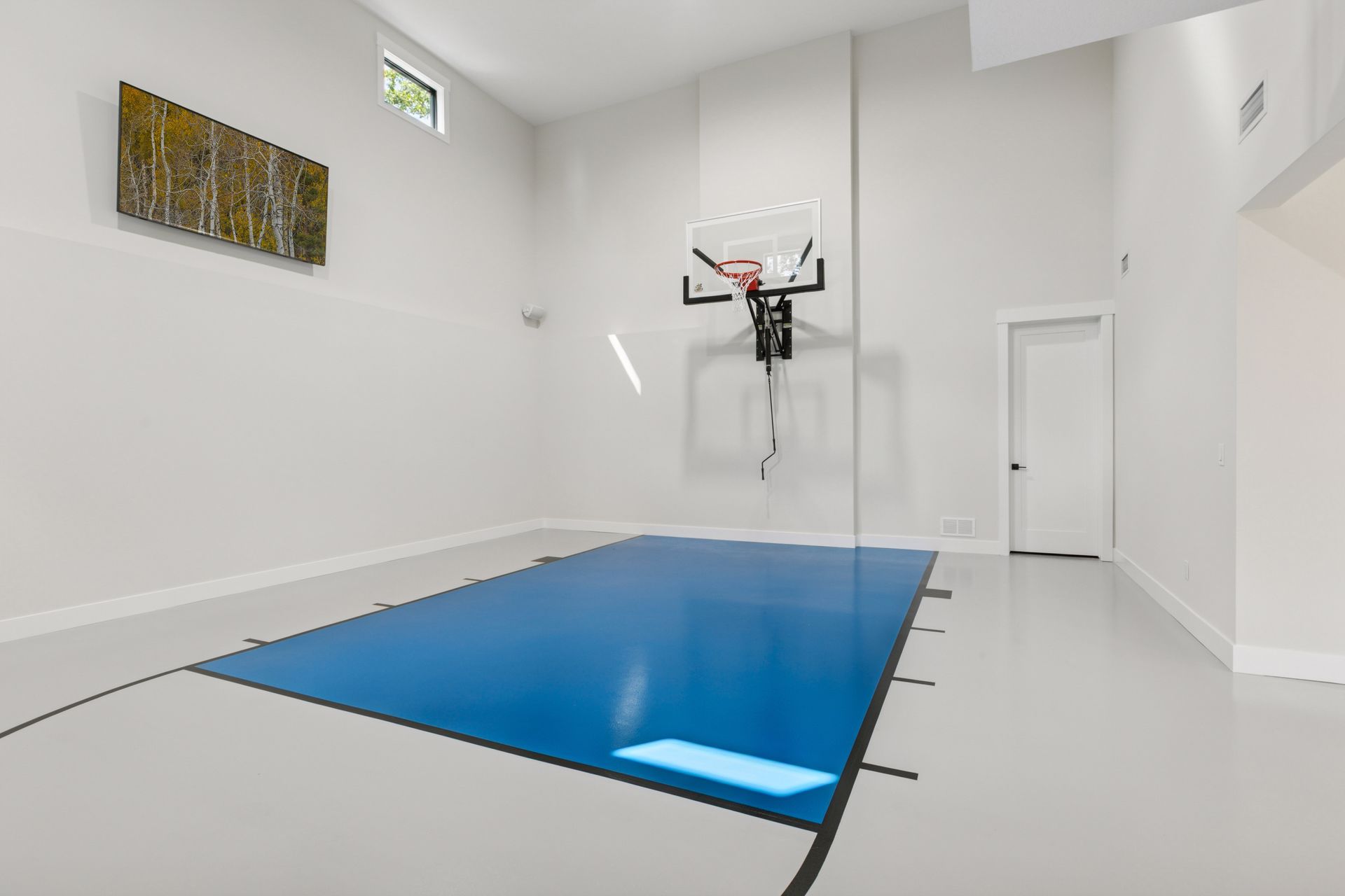 Indoor Sports Room™ Basketball Court