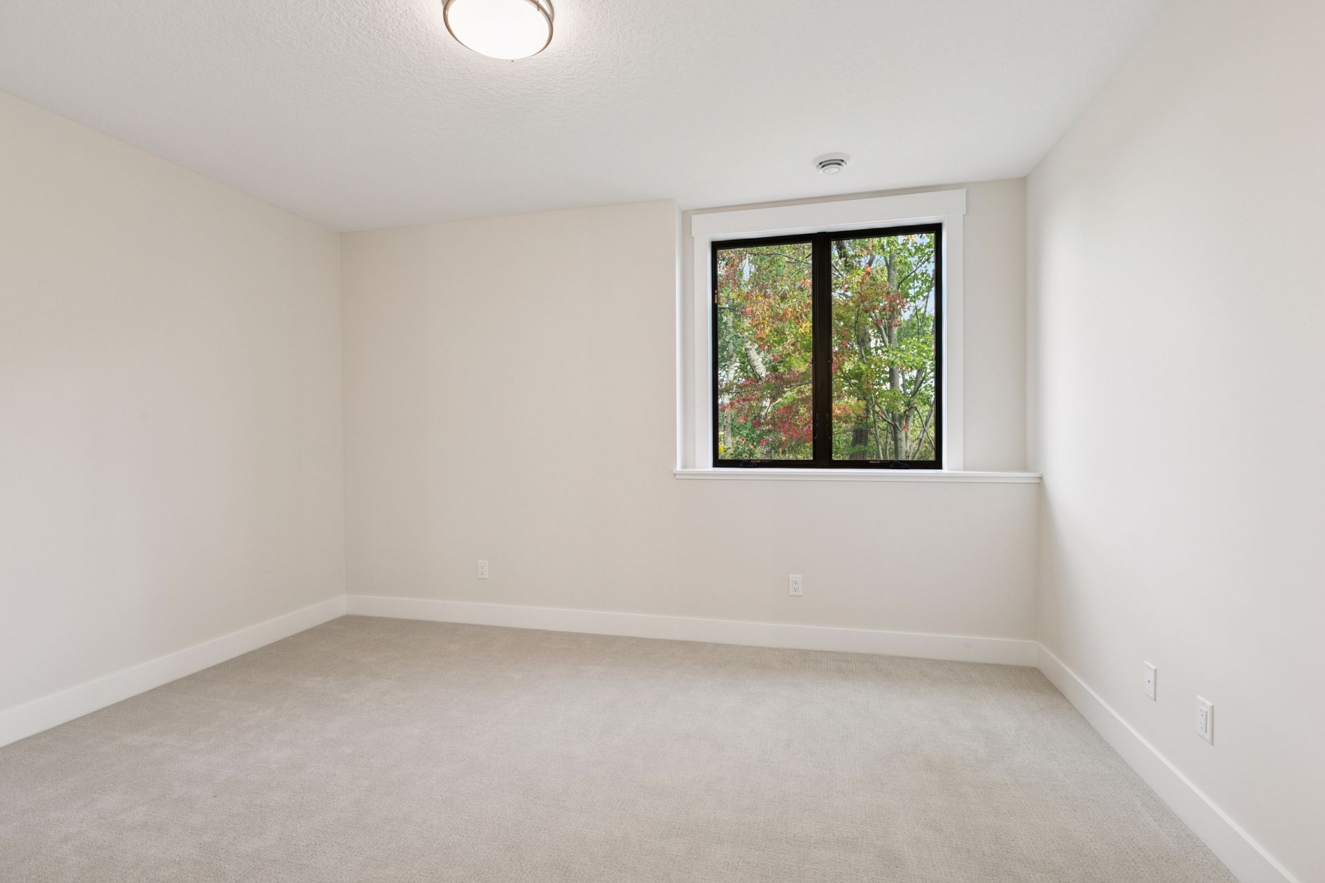 Lower Level Bedroom #3